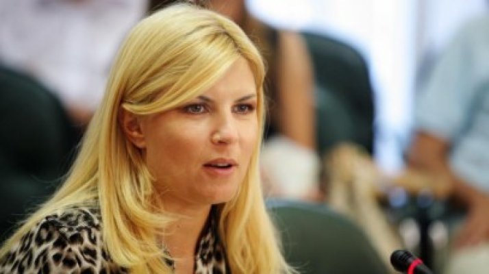 Udrea, despre demisia lui Voiculescu: Este DISPERAREA de a tergiversa dosarul ICA